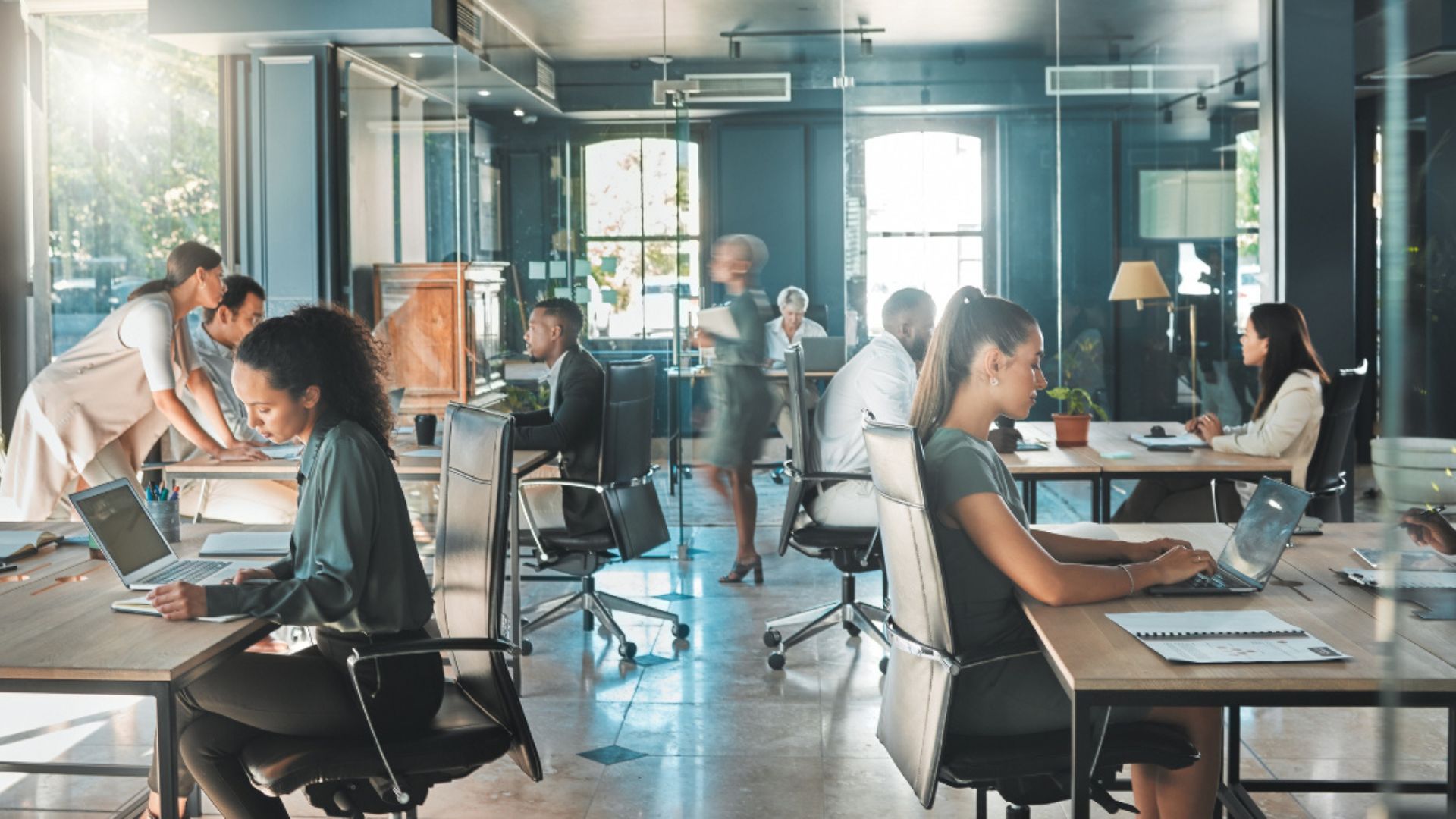 Cost-Effective IT Equipment Rental Options