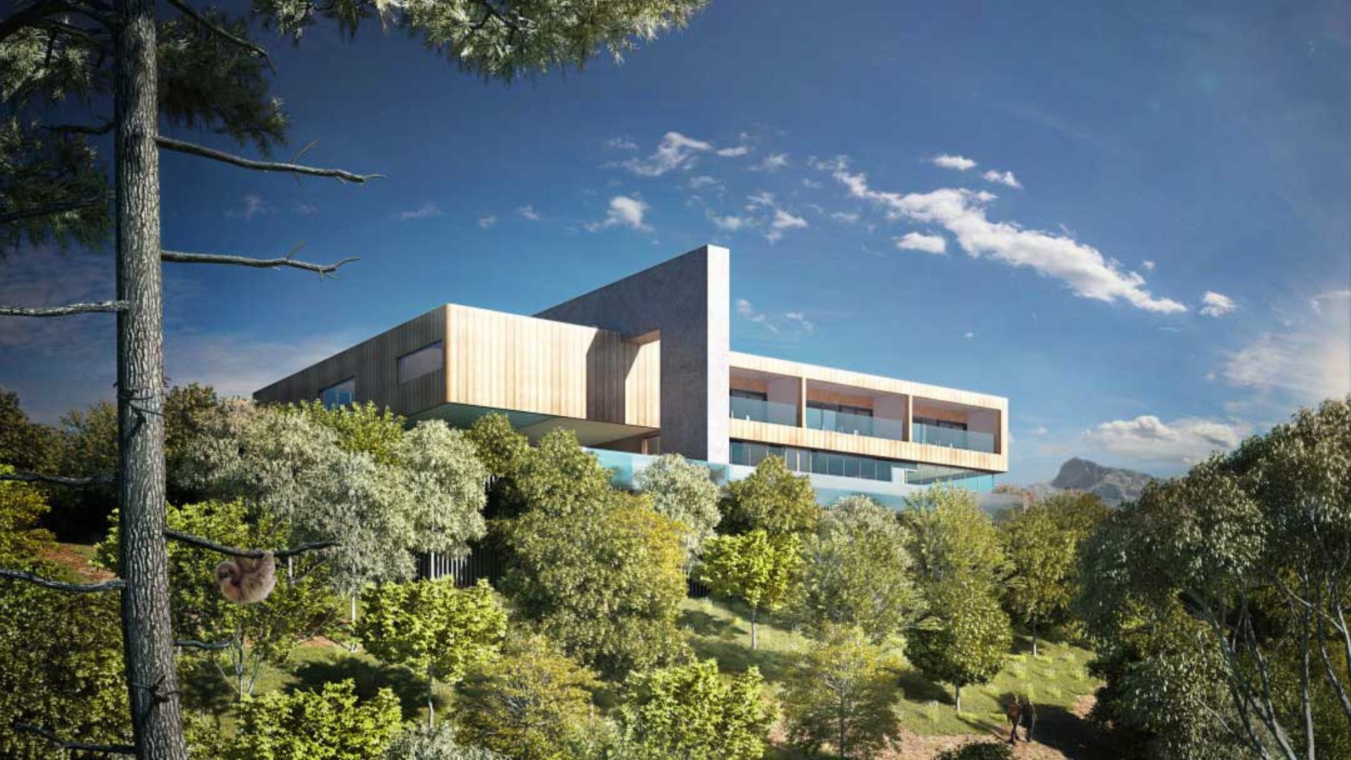 How Architects Use 3D Visualization Tools to Win Projects